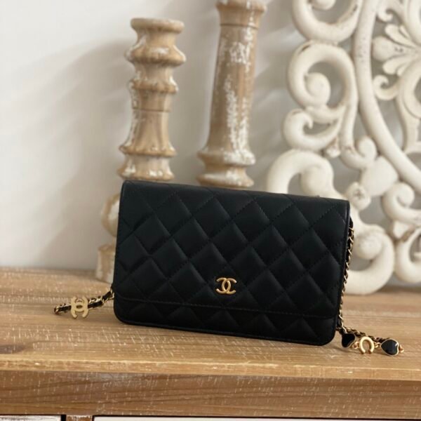 Chanel 2022 19cm 81225 02855